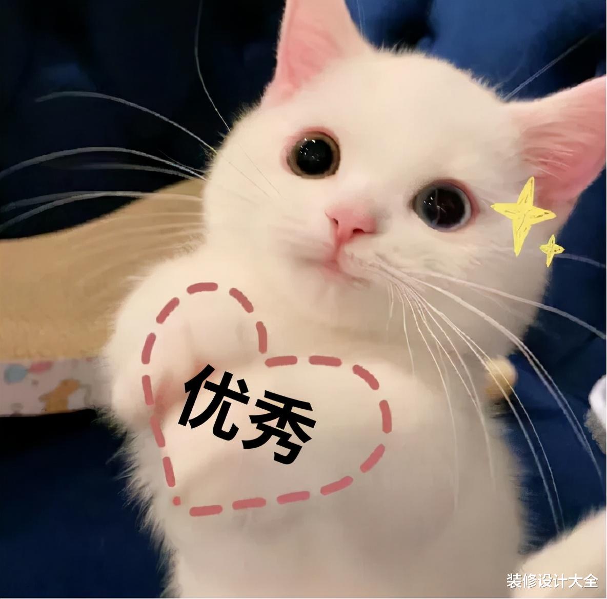 我承认，我被地台种草了，现在只想立马复制回家！