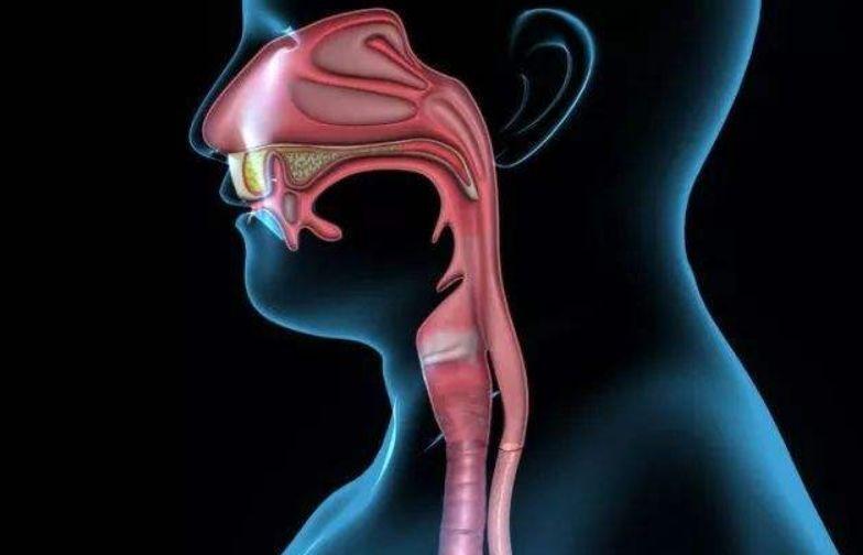 食管癌|有四类人容易得食管癌，快来看看自己是不是也是这类人