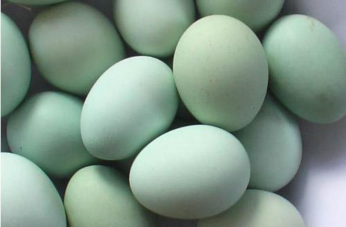 乙肝|53岁男子因挑食躲过脑梗,医生夸赞:少碰3物,或对血脂好