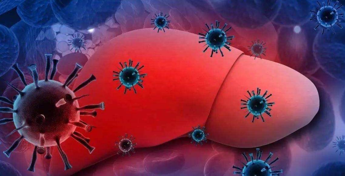 肝脏|养肝“冠军”公布,不是胡萝卜,这3种食物多吃,或会让肝变柔软