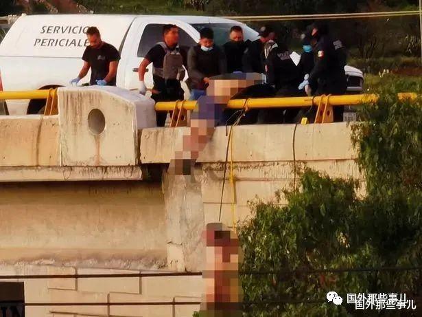 医生 高架桥下吊着8具尸体,凶手还在现场留言,死者受酷刑后遭杀害