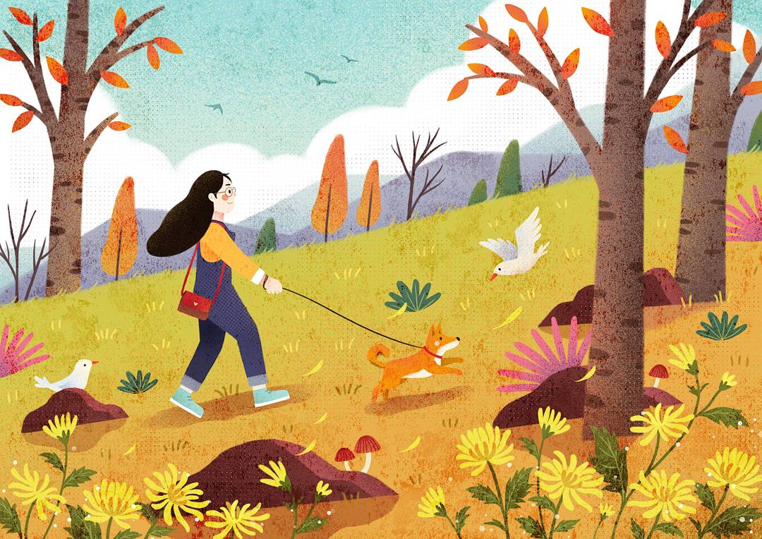 霜降|霜降|深秋暖心指南