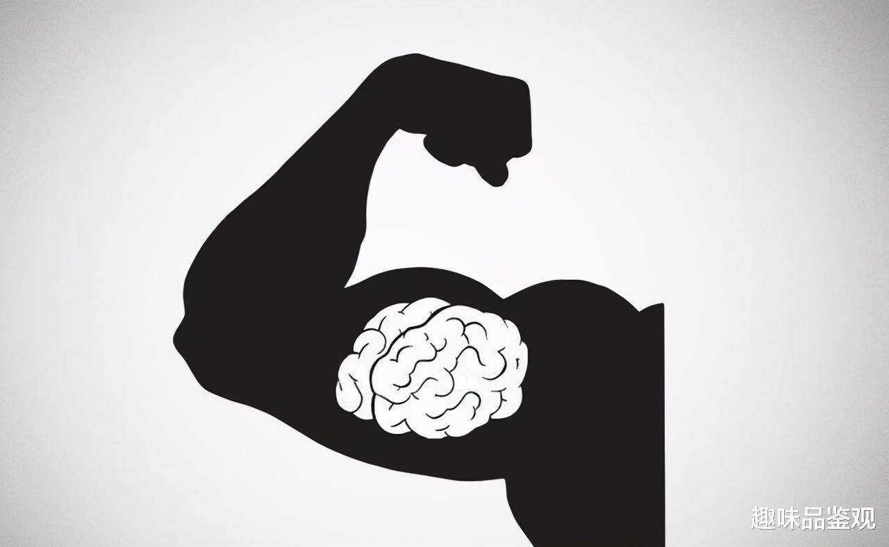 神经元 人类的神经系统被精心设计过？为何运行模式可以和宇宙媲美？