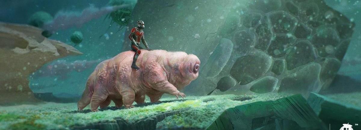 生物界中的“不死超人”,水熊虫到底有多么神奇?