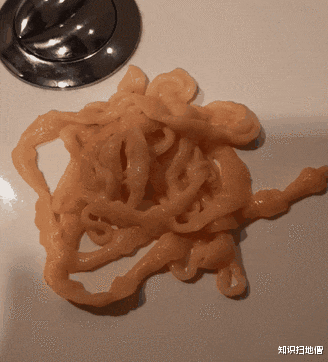 科学家 熊身后拖着10米长的东西是什么？为何还会动？科学家：人体内也有