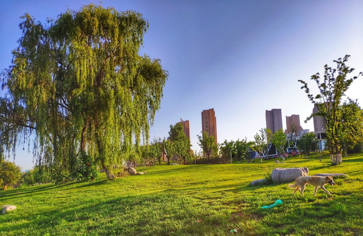 钓鱼技巧|西安周边竟藏着一个国民级的消暑胜地，地铁30分钟可达，还可钓鱼