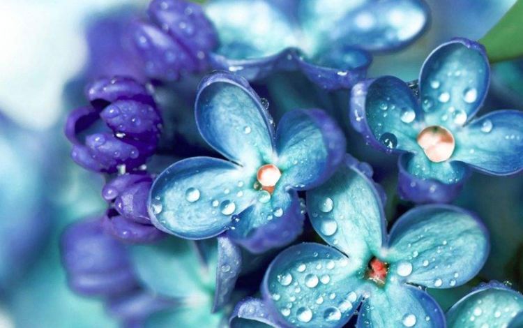 秒懂星肖|9月中旬3大属相赚得万贯家财，事业春风得意，不愁没钱花