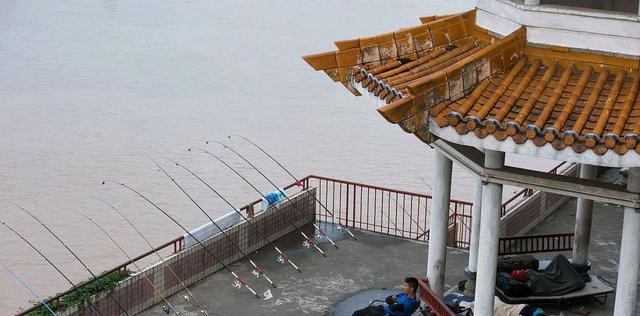 饵料|中国渔政再次亮剑，钓鱼属于休闲娱乐，但这些行为一律严格禁止！