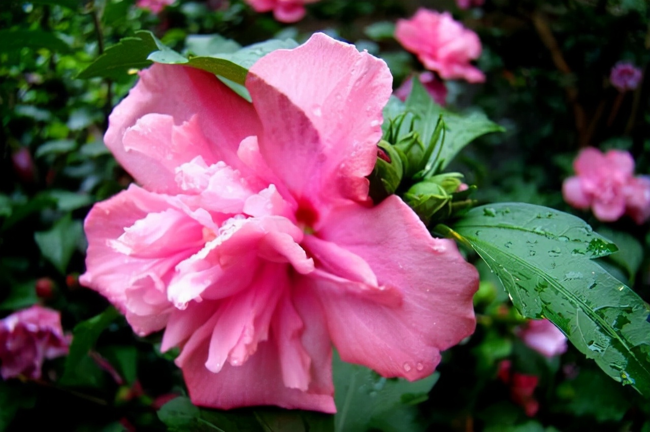 铜川|年过四十的女人要明白,爱自己,往往从做好三件事开始