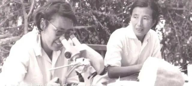 新疆维吾尔自治区|娱乐圈最大的八卦，都比不上这位女神产的瓜！