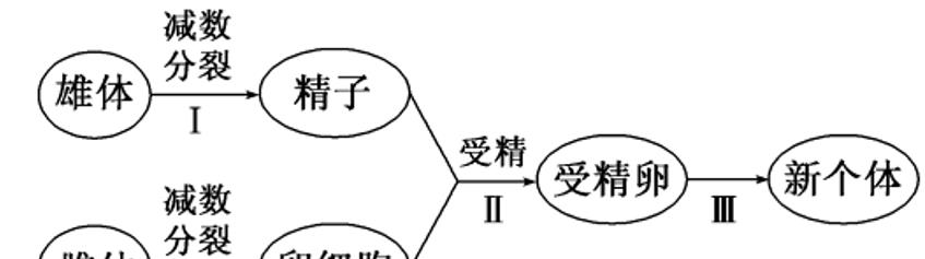 为什么人类养了四千多年的鸡,依然很多人认不出受精了的蛋?
