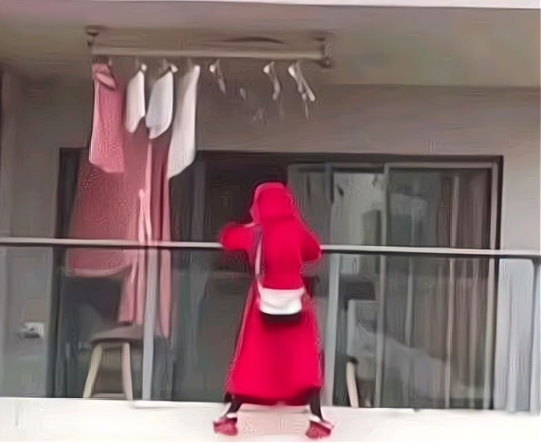 谋稻粱矣 三亚坠亡红衣女子最新进展：所住民宿为“黑旅店”，老板被拘留