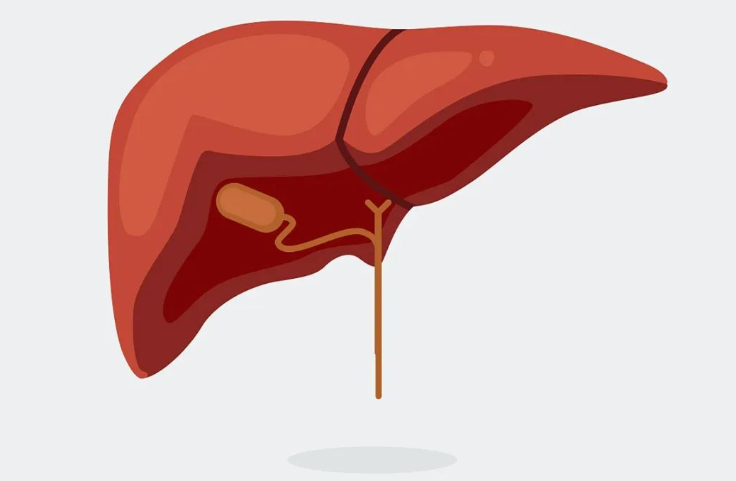 |晨起上厕所出现3种“异常”,肝或已“烂如渔网”,一个不占,值得恭喜