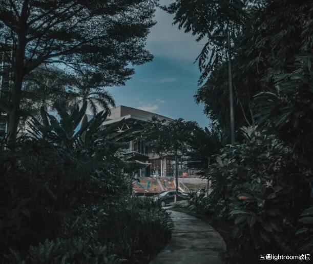 |摄影中的美学是什么：创建精美照片的简单指南