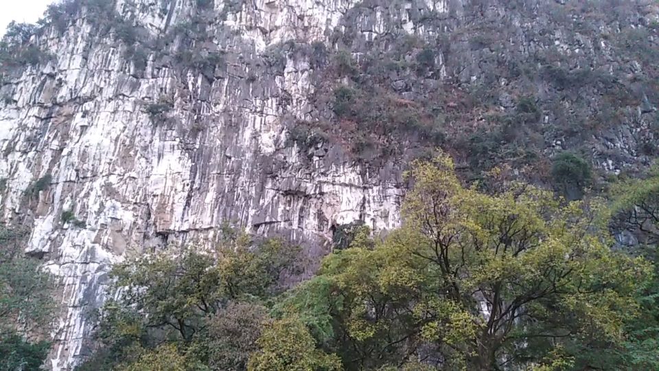千年小树讲健康|中医精华中的精华25