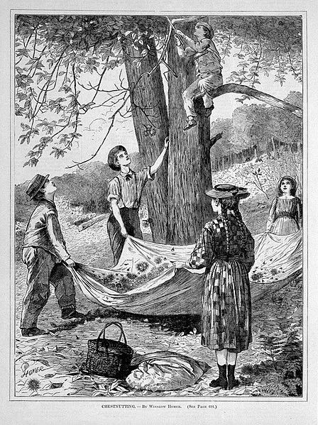 美食 什么美食存在了4千万年，却在40年内几乎灭绝？50后都没吃过