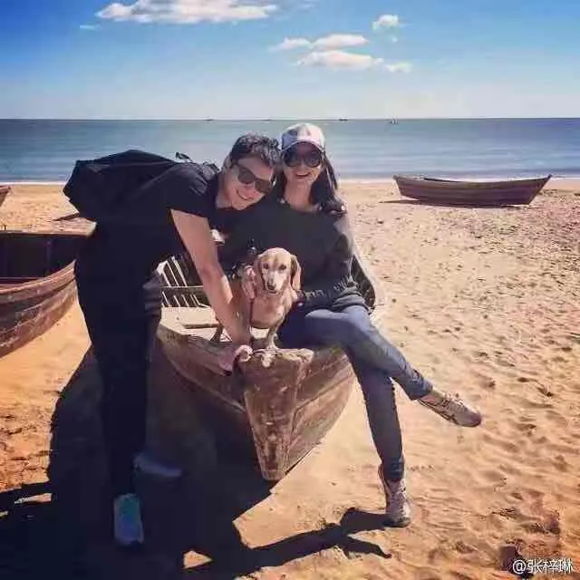 张梓琳|怀孕6月上春晚，艳压奚梦瑶，拒嫁30亿豪门：她才是人生赢家！