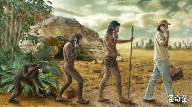 霍比特人 身高1米，体重25公斤，地球上最后一群“霍比特人”灭绝于6万年前
