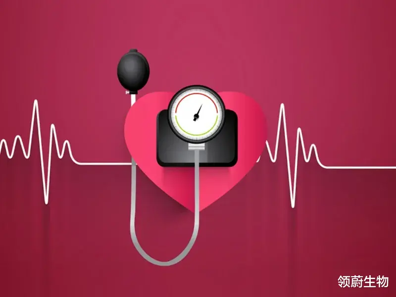 领蔚生物|WHO：全球高血压患者已达12.8亿！20年人数翻了一番！