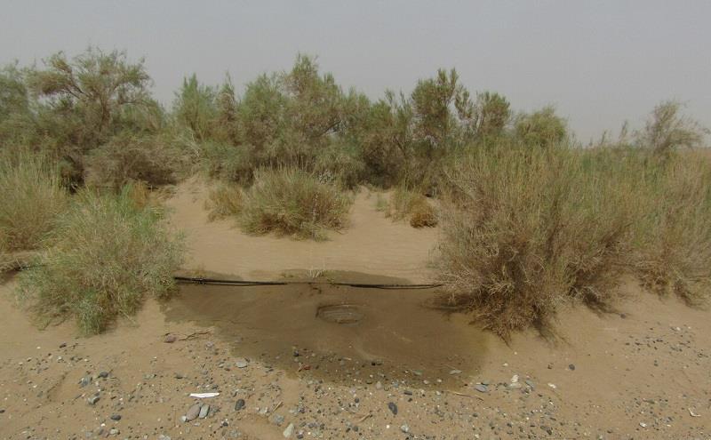社火烈烈的夜晚 维护新疆沙漠公路，110个水井每年花费上千万，守井人生活清苦