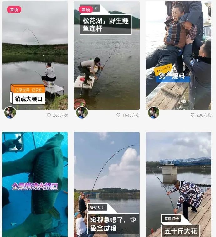 朱贤健|70万的赏金被钓鱼主播获取？