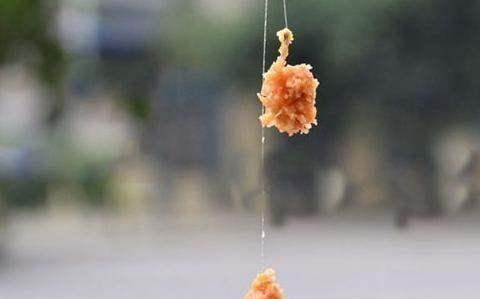 饵料|上鱼慢咋办？调整饵料状态的4个思路，不一定正确可以参考