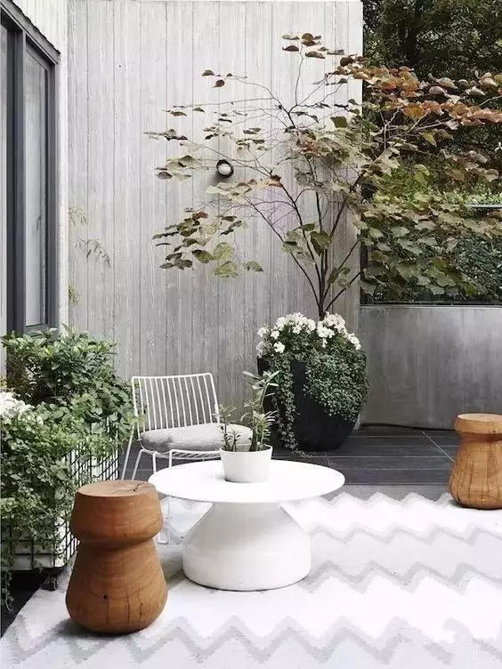 不动产登记|一面白墙，美了一个院子~