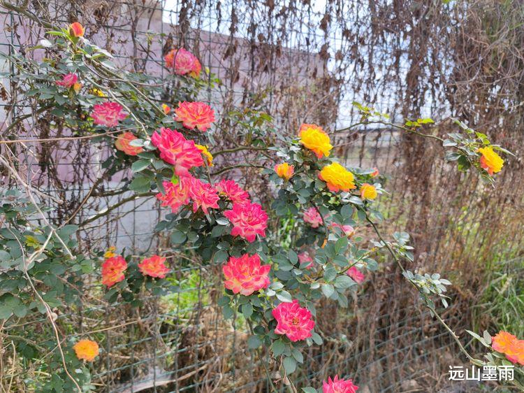 远山墨雨 昆明走进自然户外｜徒步入滇河道，走马料河、广普大沟，休闲行