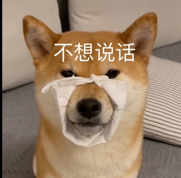 小米科技|等等党狂喜！小米6“复刻版”，这次真的要来？