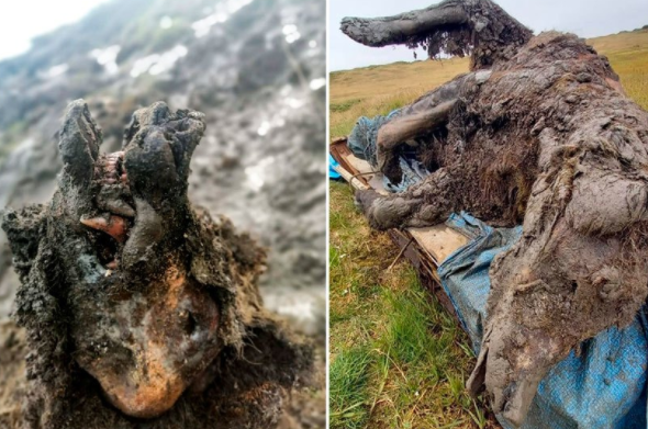 环球视野秘闻|阿尔卑斯山出现红雪，远古生物、病毒层出不穷，人类警钟已敲响