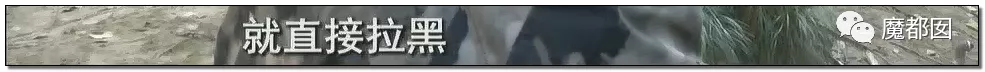 蜗牛研究僧|超美女孩被前男友起诉还86万红包！