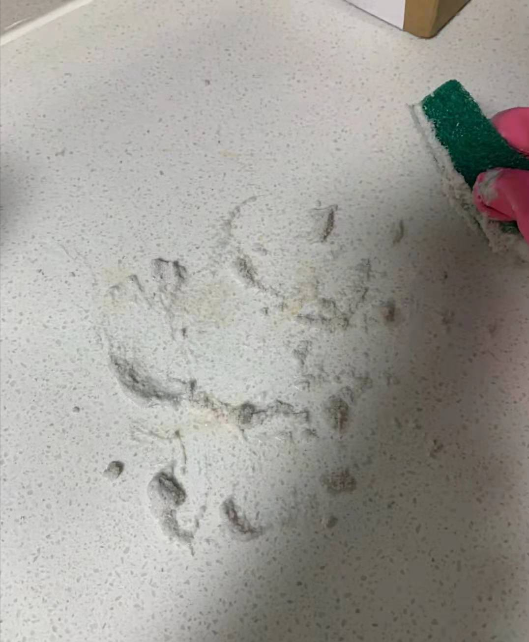 |橱柜台面太脏看不下去了，父母告诉我，这样洗轻松又干净，真好用