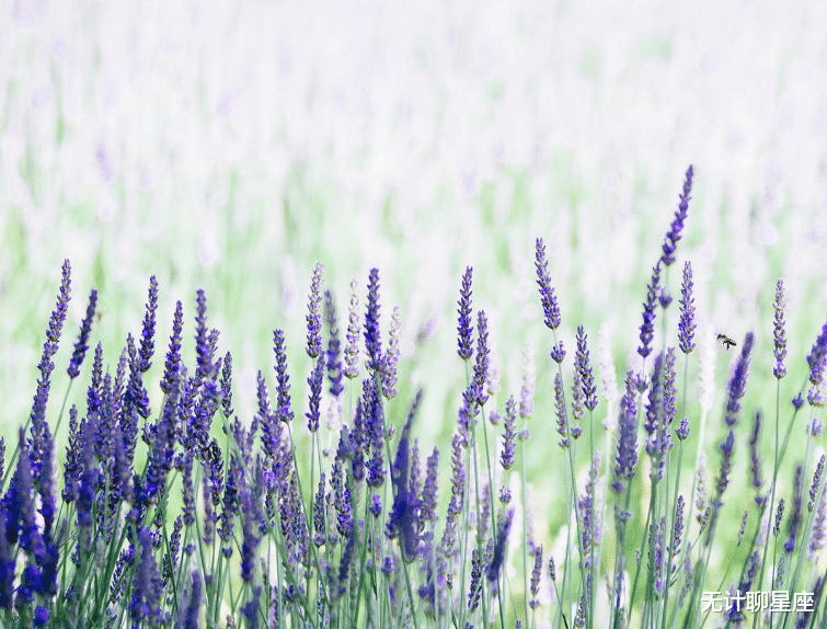 天蝎座|下半年，4个星座，不抱怨，前行不停，亮点突出，被赏识，前路光芒