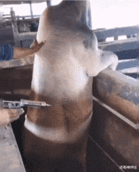 十月怀胎|什么事是你交女朋友才知道的？网友：十月怀胎是假的，五个月就行