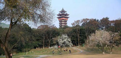 成都 成都最受欢迎的公园，免费入园，游客必打卡