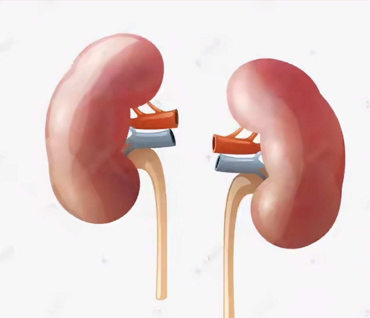 iphone4|94年小伙卖肾买苹果手机，获赔上百万，10年过去了，现状令人唏嘘