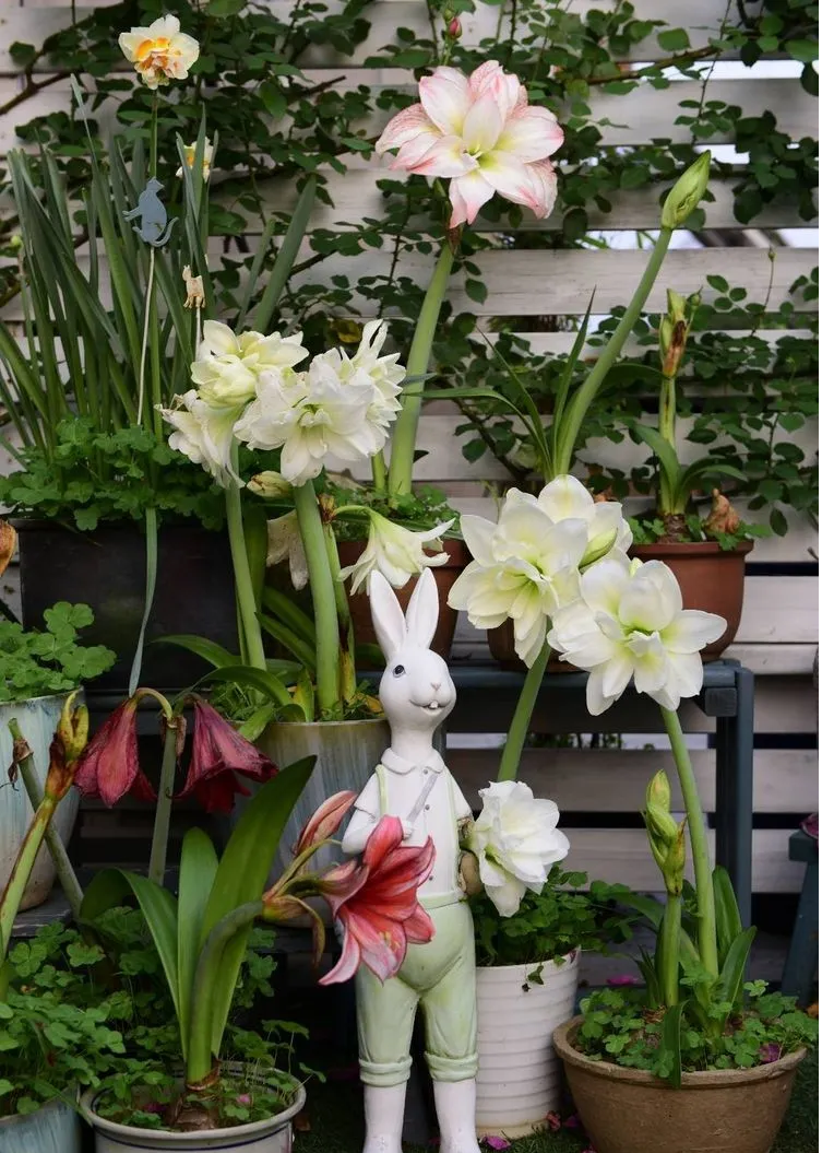 4年前，毫不犹豫买了这个带60㎡露台的房子，开始DIY改造小花园