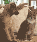 穿衣搭配|“从领导办公室出来的女同事，这衣服怎么还穿反了？”这是要升职了啊