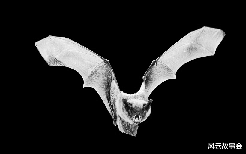 风云故事会|民间故事：补锅匠深夜回村，美女现身相伴，他顺手抹了把锅底灰