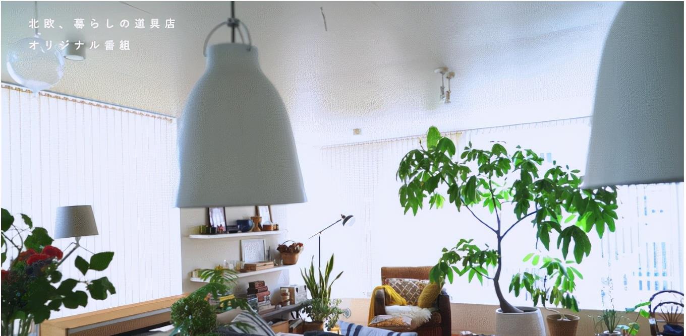 蔡宏志聊时尚 50岁日本独居女性的清晨时光：6：30起床，9点工作，生活节奏很慢