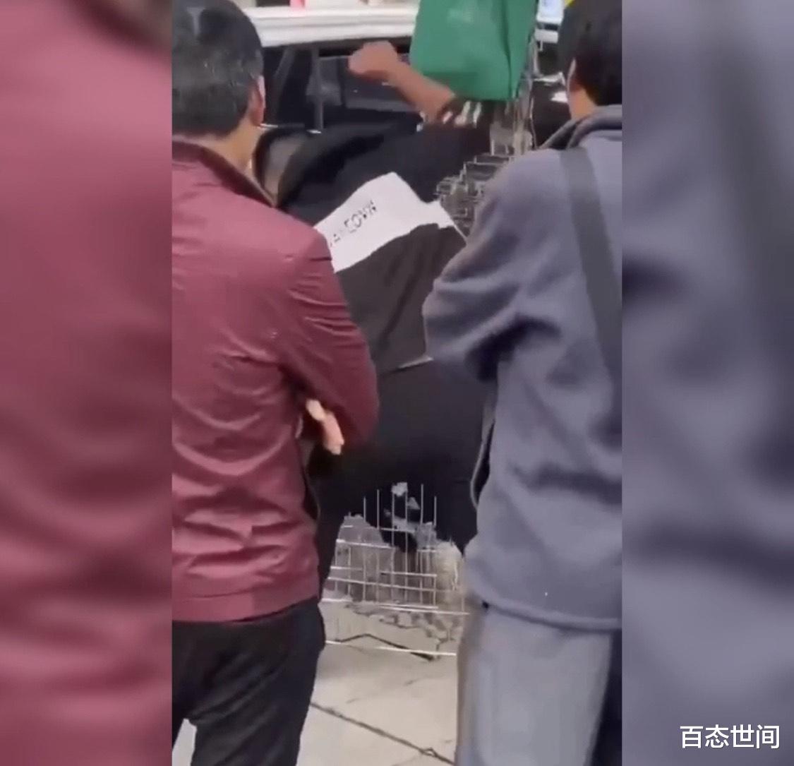 百态世间 自贡一男子和妻子吵架，当街虐狗撒气 ，两小狗哀嚎嘶鸣，一只死亡