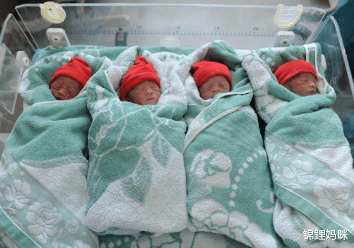 锦鲤妈咪|计划中的意外:“繁荣昌盛”四胞胎曾险些被打掉,如今获得关照