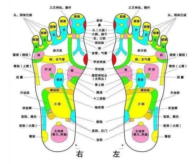 小手氷凉|秋季养生先养脚，清肠润肺还养颜，冬天病不倒！