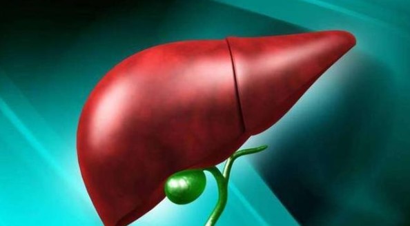 牛奶|人过四十想护好肝，务必做到4个一点，尤其是第三个，建议坚持！