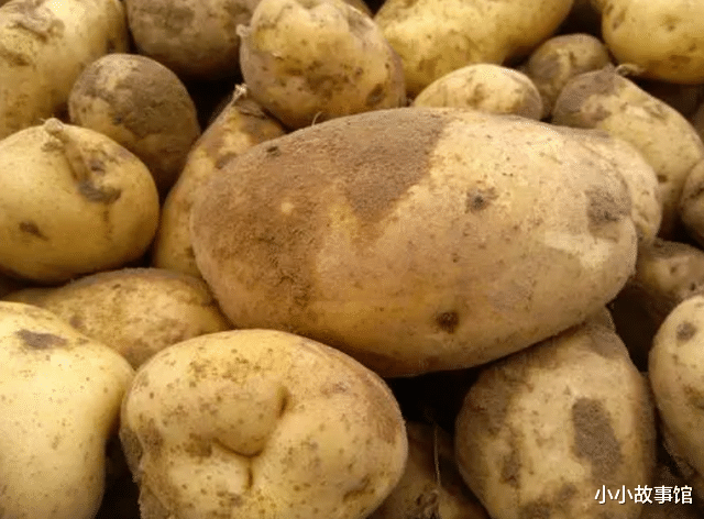 国家卫健委|血脂高的人要远离豆腐?提醒:不想血脂升高,3种素食尽量少吃