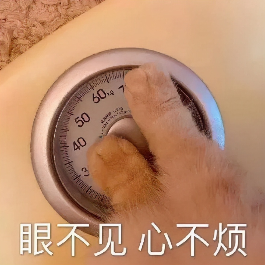 衬衫 为什么减肥总是半途而废？