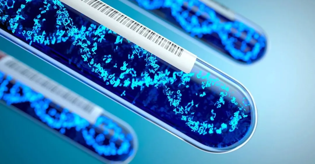 运载火箭 世界首个DNA疫苗获批，更易生产和保存，它会是疫苗学的未来吗？