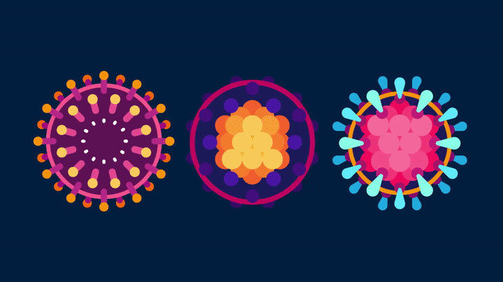 后代 人类为什么要让动物回交，回交有什么好处？