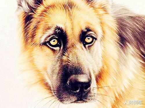 人閒情事 11月开始，做事坚持，偏财旺旺，财利丰收的生肖，日子再也不烦心