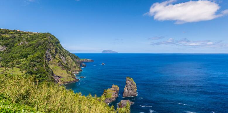  被“神话”的科莫多巨蜥：现存最大的蜥蜴，其真正实力到底如何？